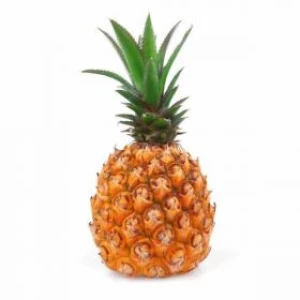 Baby Pineapple - (PC)