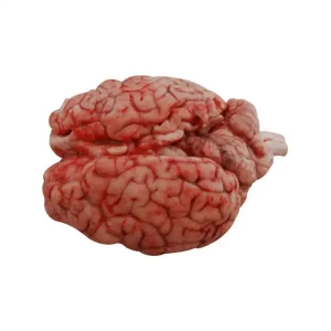 Beef Brain 1pcs