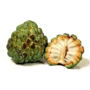 Custard Apple - (PC