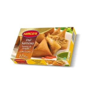 Daal Samosa