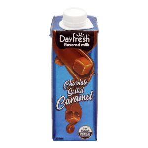 Dayfresh Salted Caramel Flavored Milk 225ml