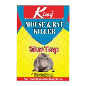 King Mouse & Rat Killer Glue Trap