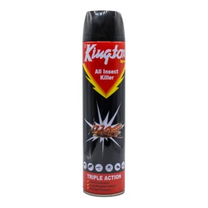 Kingtox Aerosole All Insect killer Black 600ml
