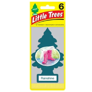 Little Trees Car Air Freshener Rainshine