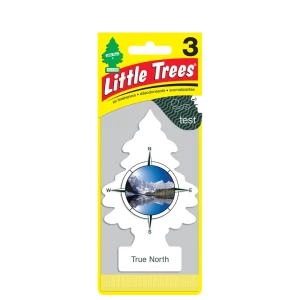 Little Trees Car Air Freshener True North