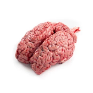 MUTTON BRAIN