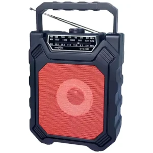 Portable Bluetooth Radio Speaker (GTS-1661)