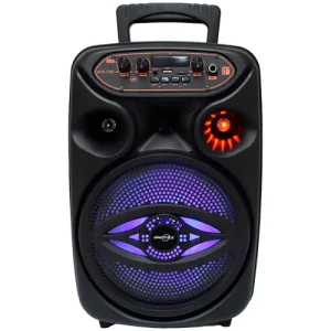 Portable Bluetooth Wireless Speaker (GTS-1700)