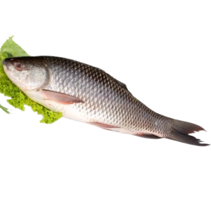 RAHU FISH