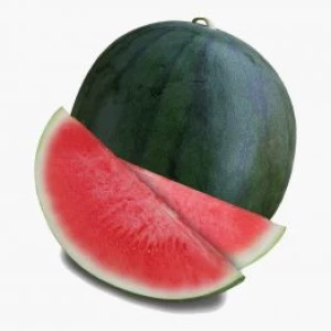 Watermelon Dark Green - (5KG+)